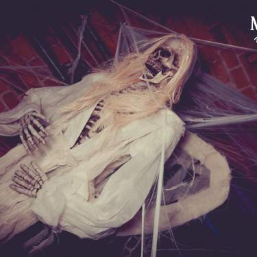 Foto von Montag, 31.10.2022 THE FINAL HALLOWEEN