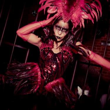 Foto von Samstag, 02.11.2024 „BOO! Halloween The Final“